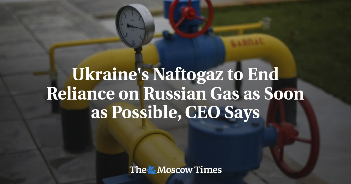 Ukraine's Naftogaz to End Reliance on Russian Gas as Soon as Possible ...