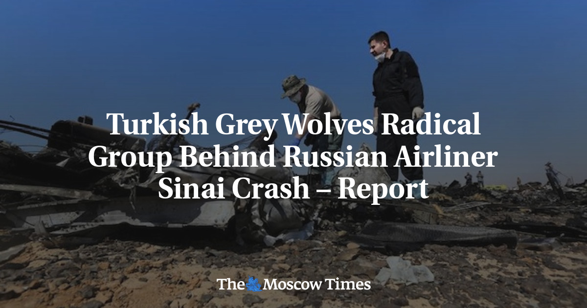 Turkish Grey Wolves Radical Group Behind Russian Airliner Sinai Crash