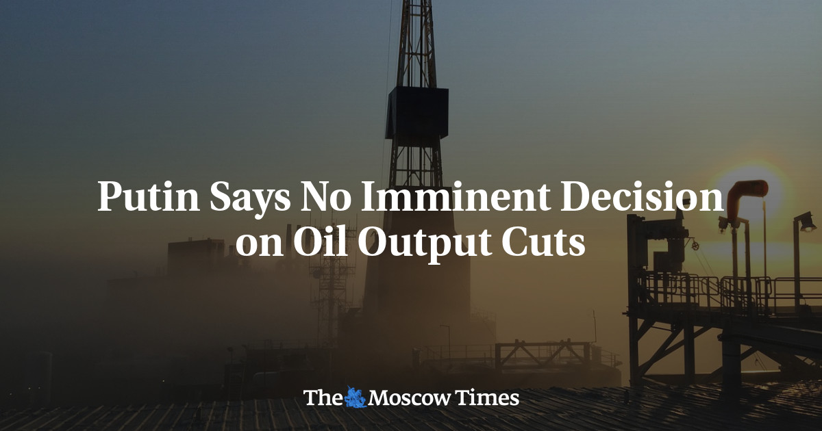 Putin Says No Imminent Decision on Oil Output Cuts - The Moscow Times