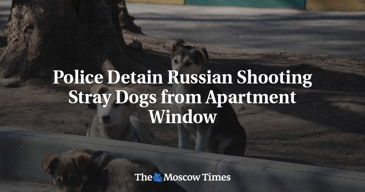Police Detain Russian Shooting Stray Dogs from Apartment Window