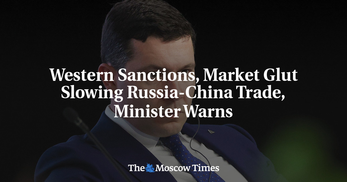 Western Sanctions, Market Glut Slowing Russia-China Trade, Minister Warns