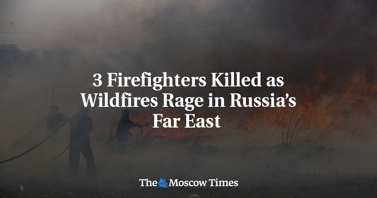 3 Firefighters Killed as Wildfires Rage in Russia’s Far East 