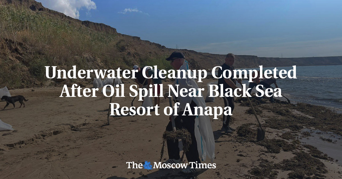 Underwater Cleanup Completed After Oil Spill Near Black Sea Resort of Anapa