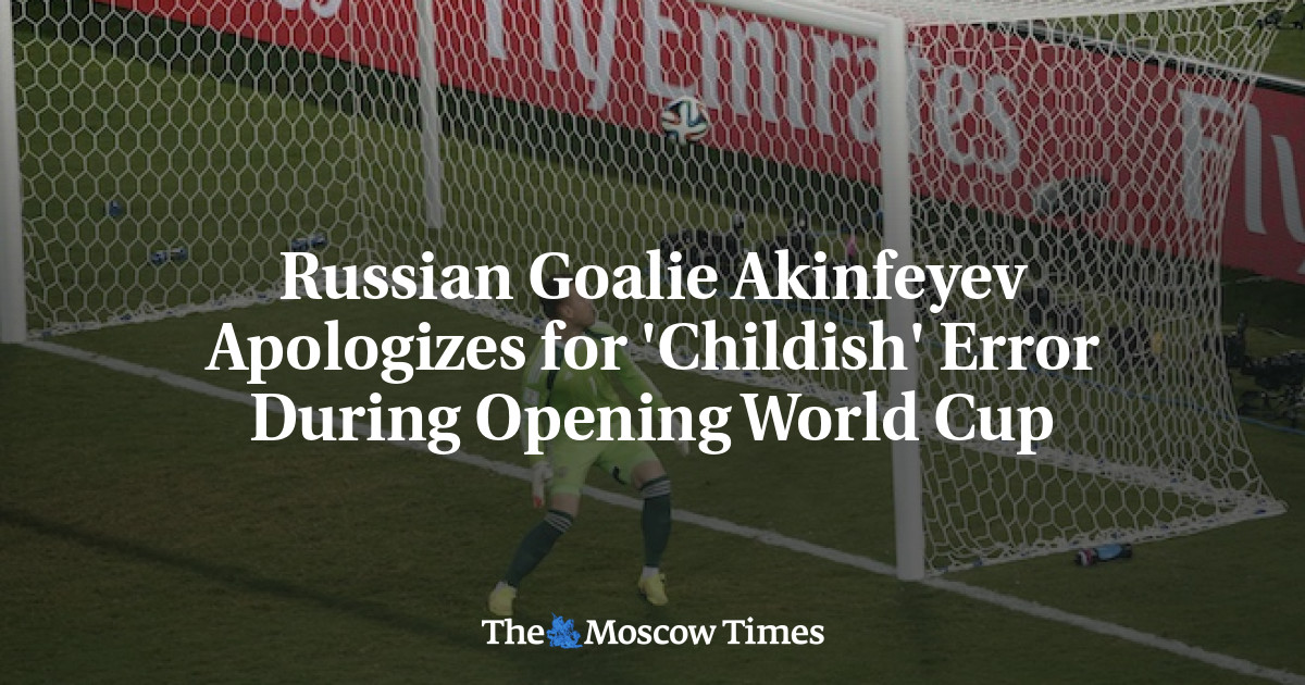 Russian Goalie Akinfeyev Apologizes for 'Childish' Error During Opening