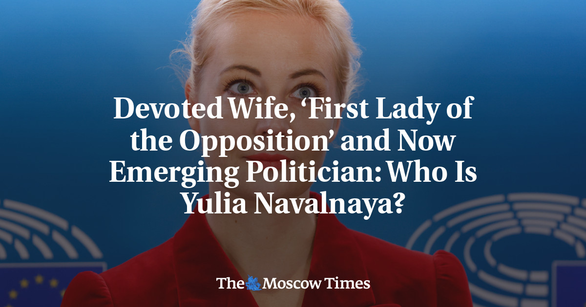 Devoted Wife, ‘First Lady Of The Opposition’ And Now Emerging ...