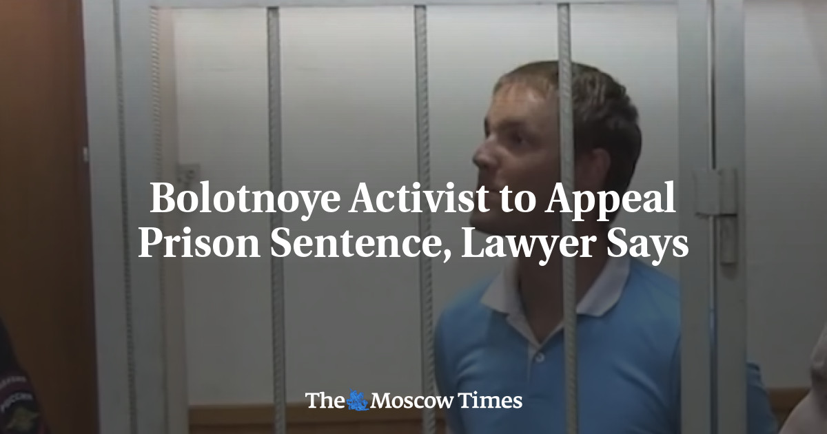 Bolotnoye Activist to Appeal Prison Sentence, Lawyer Says