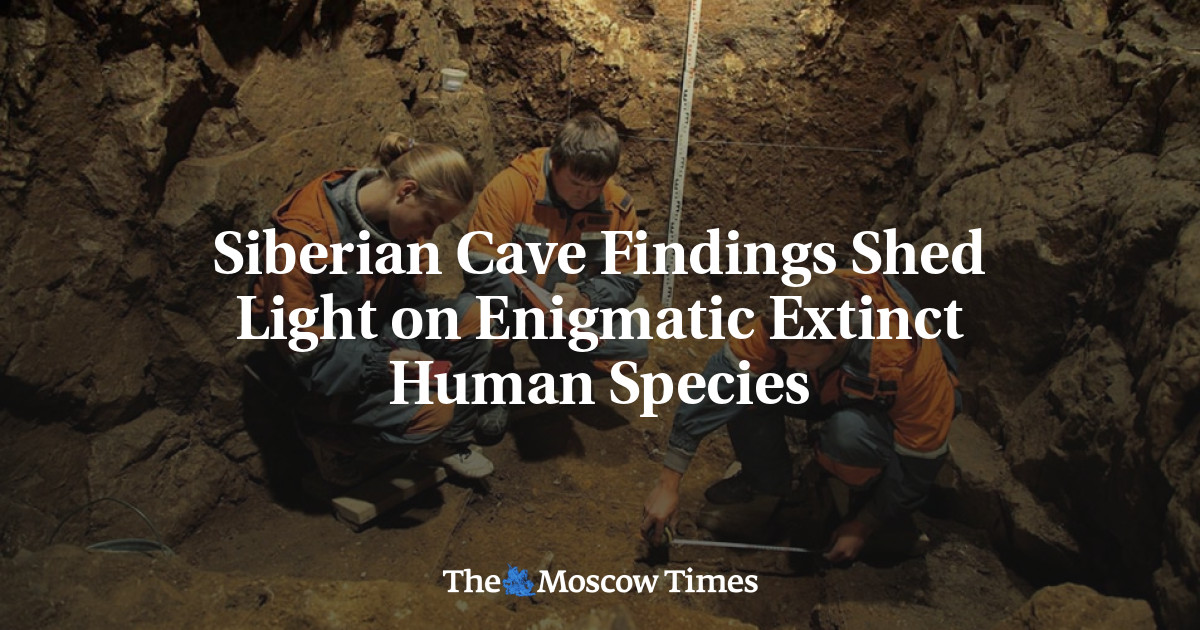 Temuan gua Siberia menjelaskan spesies manusia yang telah punah secara misterius