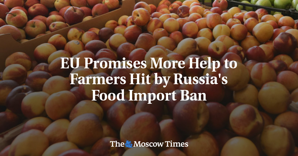 Eu Promises More Help To Farmers Hit By Russias Food Import Ban