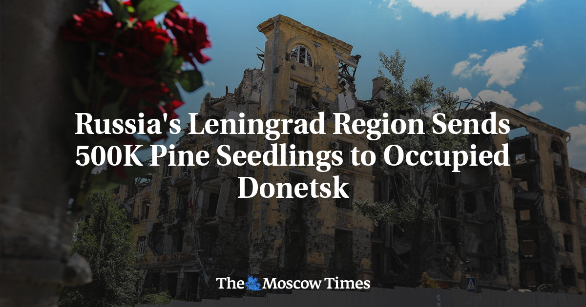 Russia's Leningrad Region Sends 500K Pine Seedlings to Occupied Donetsk