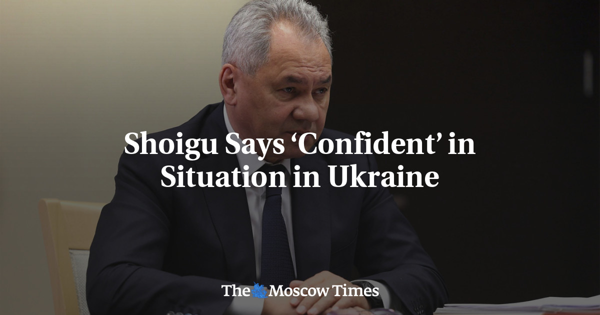 Shoigu Says ‘Confident’ in Situation in Ukraine