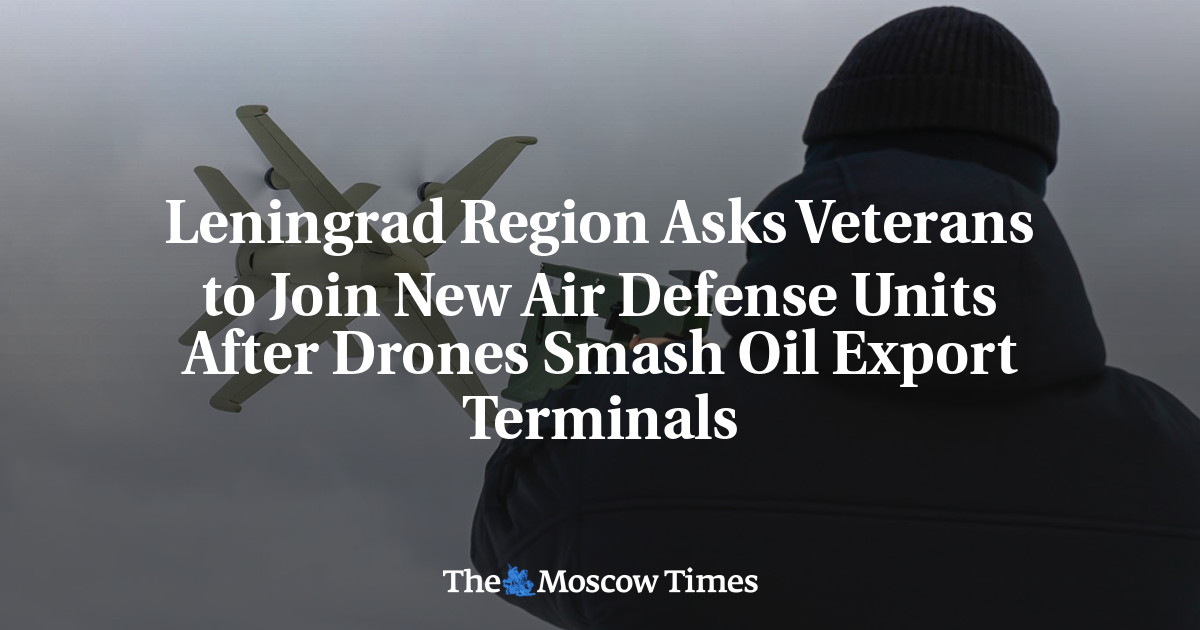 Leningrad Region Asks Veterans to Join New Air Defense Units After Drones Smash Oil Export Terminals
