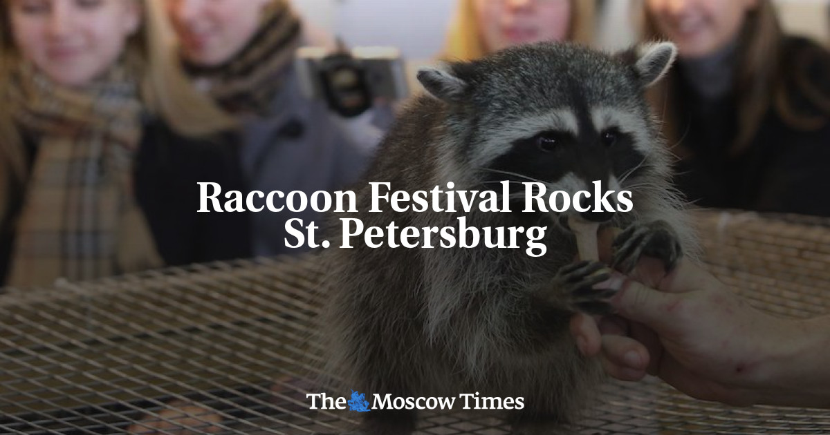 Raccoon Festival Rocks St. Petersburg - The Moscow Times