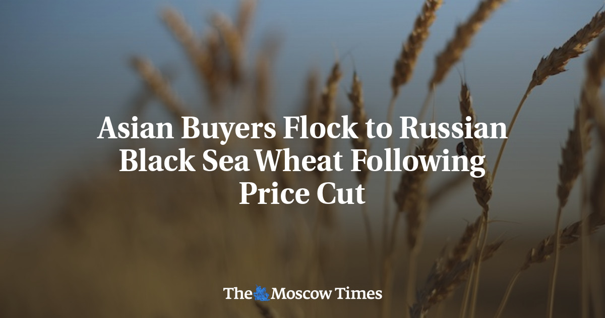 Pembeli Asia berduyun-duyun ke gandum Laut Hitam Rusia setelah pemotongan harga