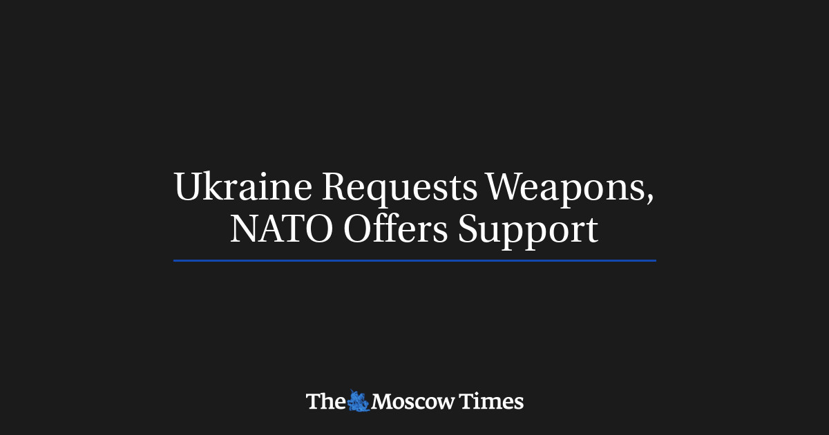 Ukraina meminta senjata, NATO menawarkan dukungan