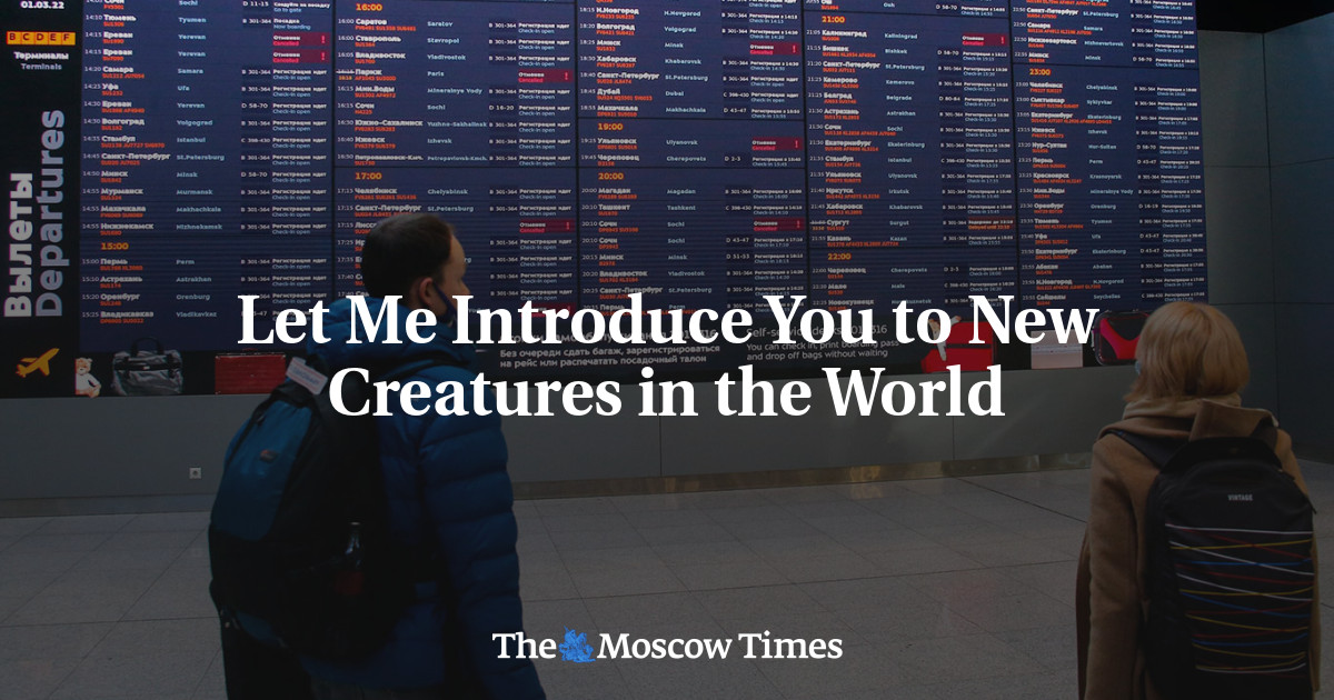 Let Me Introduce You to New Creatures in the World