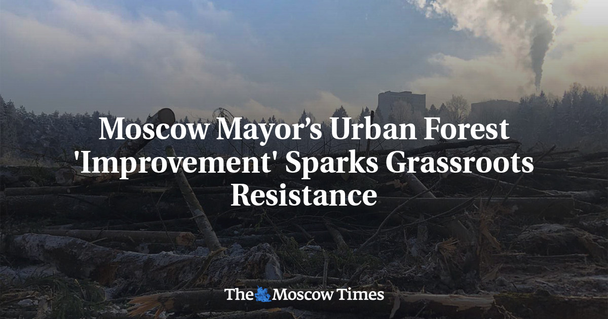 Moscow Mayor’s Urban Forest 'Improvement' Sparks Grassroots Resistance
