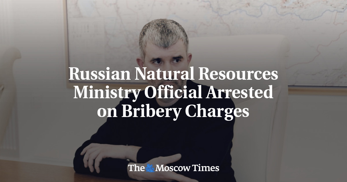 Russian Natural Resources Ministry Official Arrested on Bribery Charges