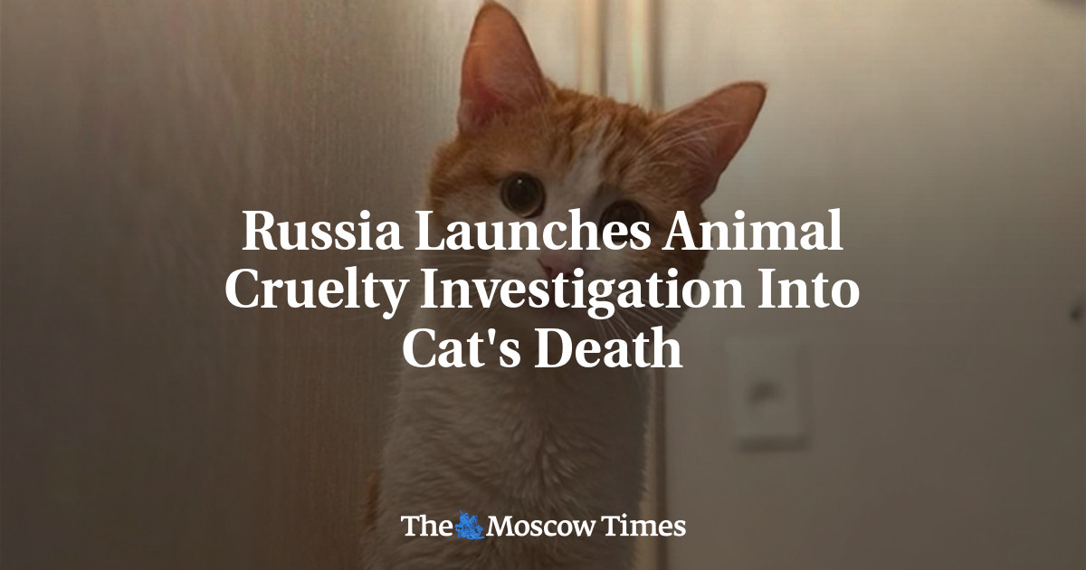 Russia Launches Animal Cruelty Investigation Into Cat's Death - The ...