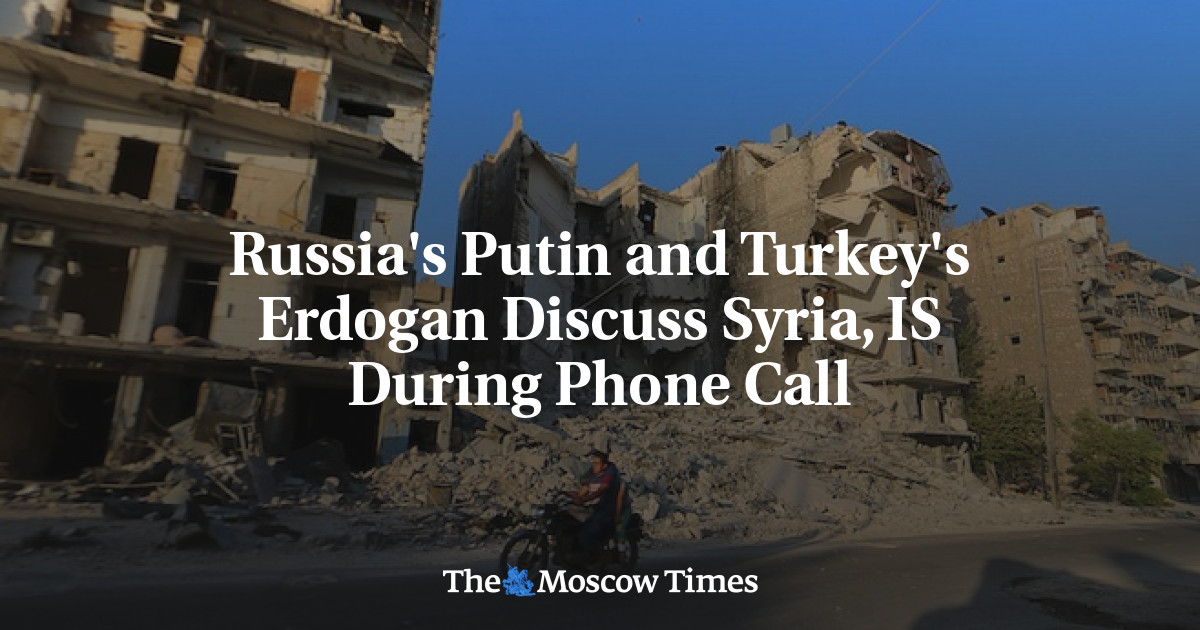 Russia's Putin and Turkey's Erdogan Discuss Syria, IS During Phone Call