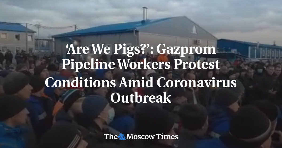 ‘Apakah kita babi?’: Pekerja saluran pipa Gazprom memprotes kondisi di tengah wabah virus corona