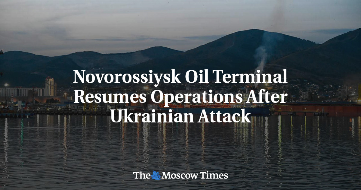 Novorossiysk Oil Terminal Resumes Operations After Ukrainian Attack