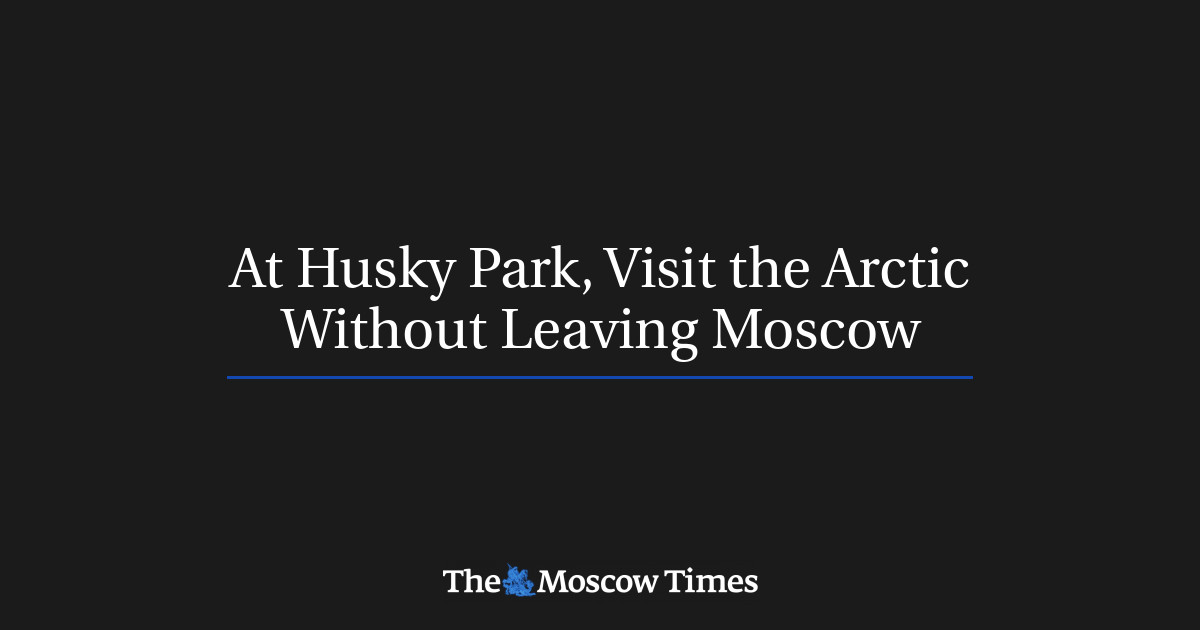 Di Husky Park, kunjungi Arktik tanpa meninggalkan Moskow