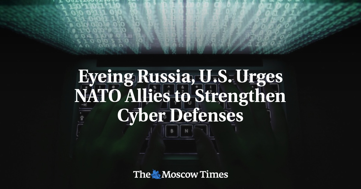 Dengan mempertimbangkan Rusia, AS mendesak sekutu NATO untuk memperkuat pertahanan dunia maya