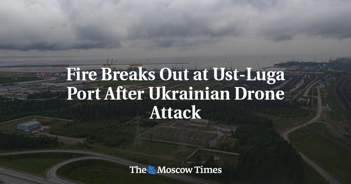 Fire Breaks Out at Ust-Luga Port After Ukrainian Drone Attack