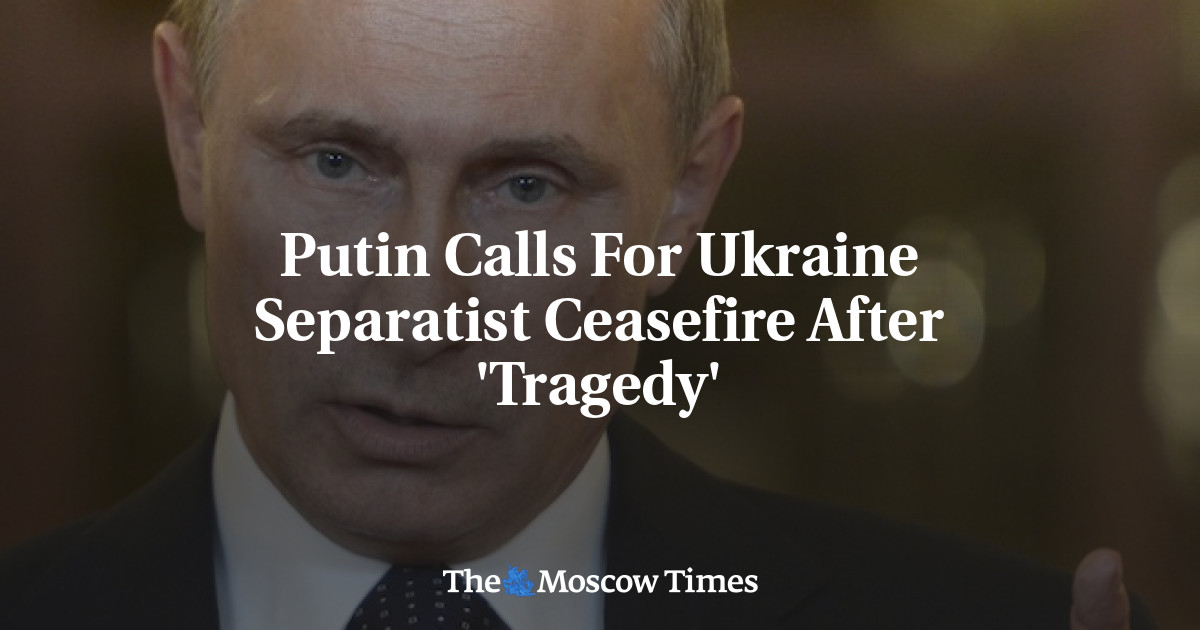 Putin Calls For Ukraine Separatist Ceasefire After 'Tragedy'