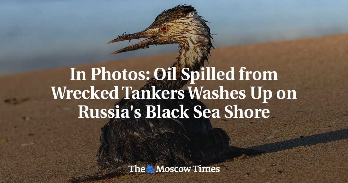 In Photos: Oil Spilled from Wrecked Tankers Washes Up on Russia's Black Sea Shore