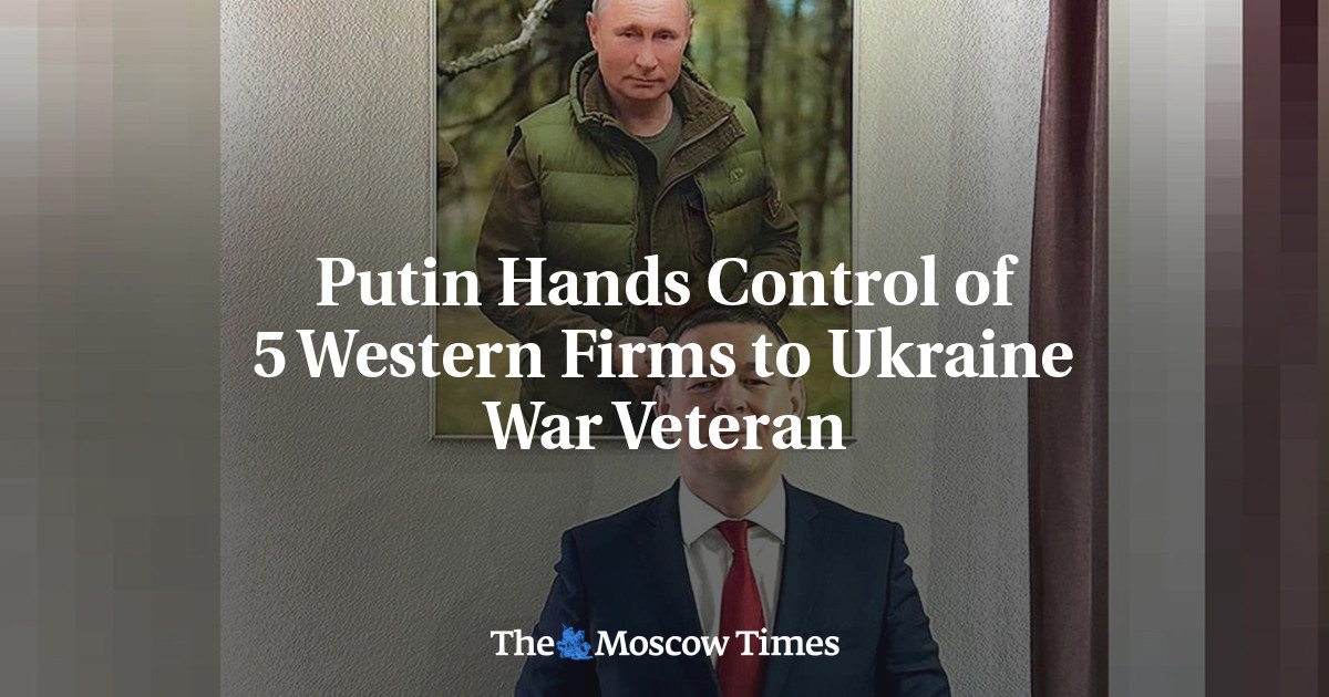 Putin Hands Control of 5 Western Firms to Ukraine War Veteran