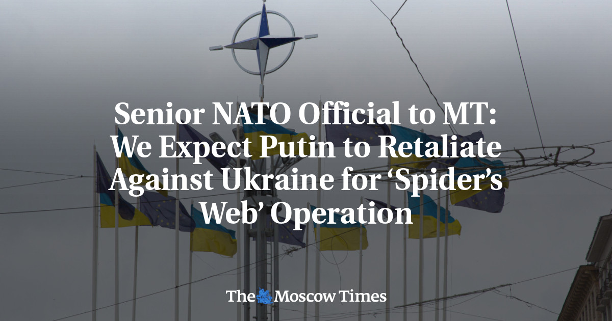Senior NATO Official to MT: We Expect Putin to Retaliate Against Ukraine for ‘Spider’s Web’ Operation