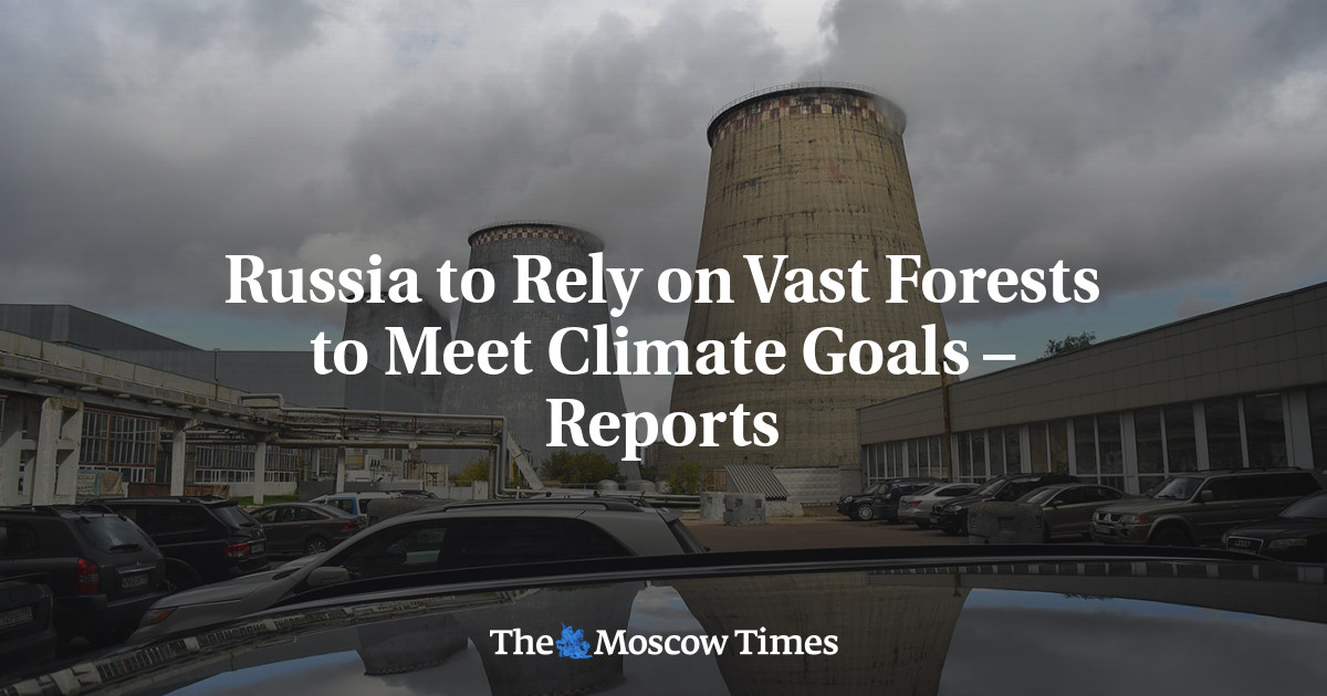 Rusia mengandalkan hutan yang luas untuk memenuhi tujuan iklim – laporan