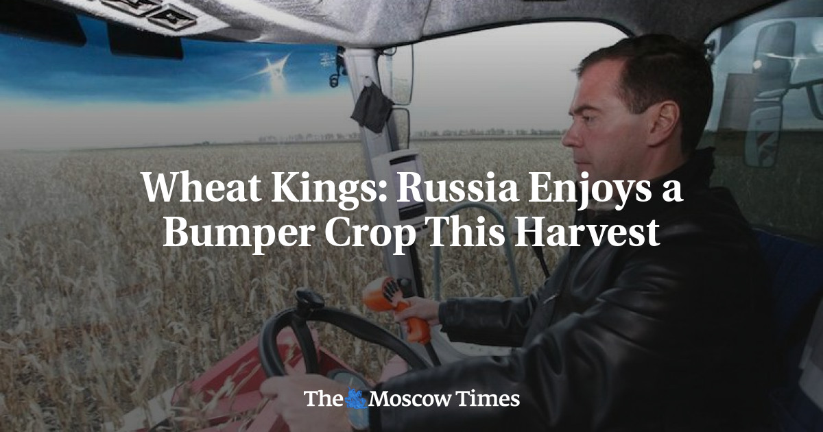Rusia menikmati panen yang baik panen ini