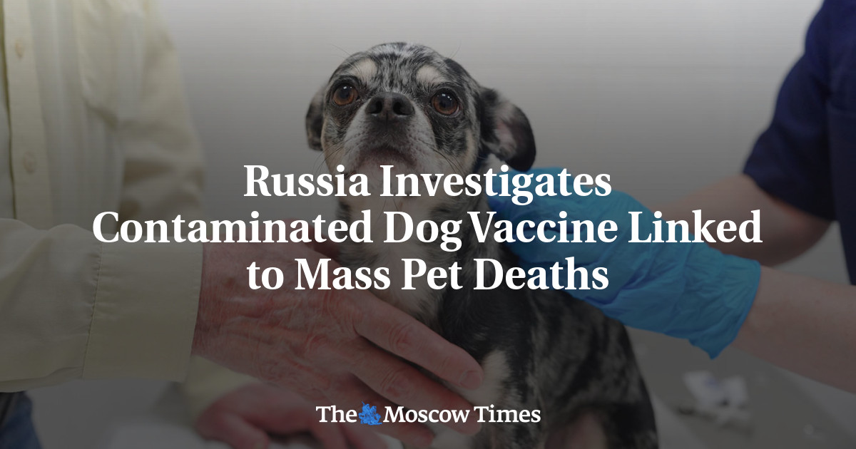 Russia Investigates Contaminated Dog Vaccine Linked to Mass Pet Deaths