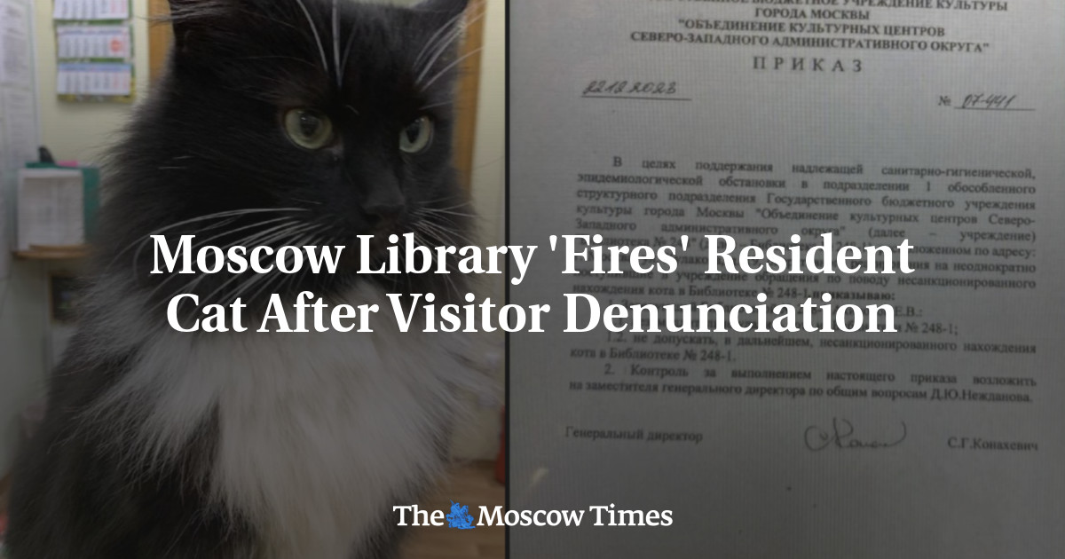 Moscow Library 'Fires' Resident Cat After Visitor Denunciation