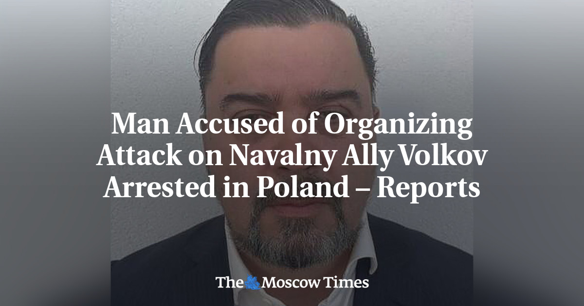 Man accused of organizing attack on Navalny ally Volkov arrested in Poland – reports