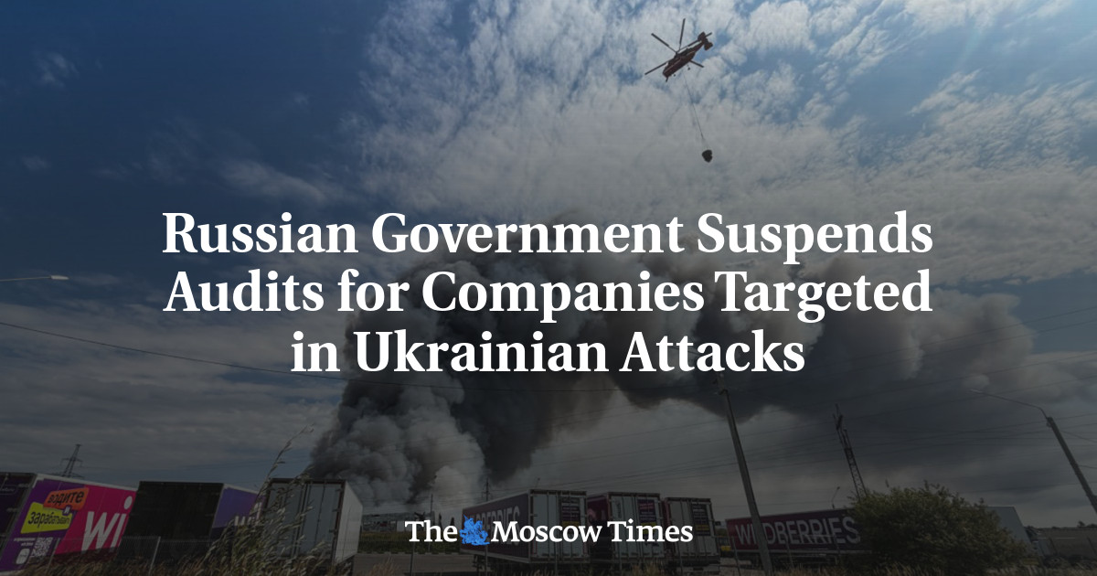 Russian Government Suspends Audits for Companies Targeted in Ukrainian Attacks