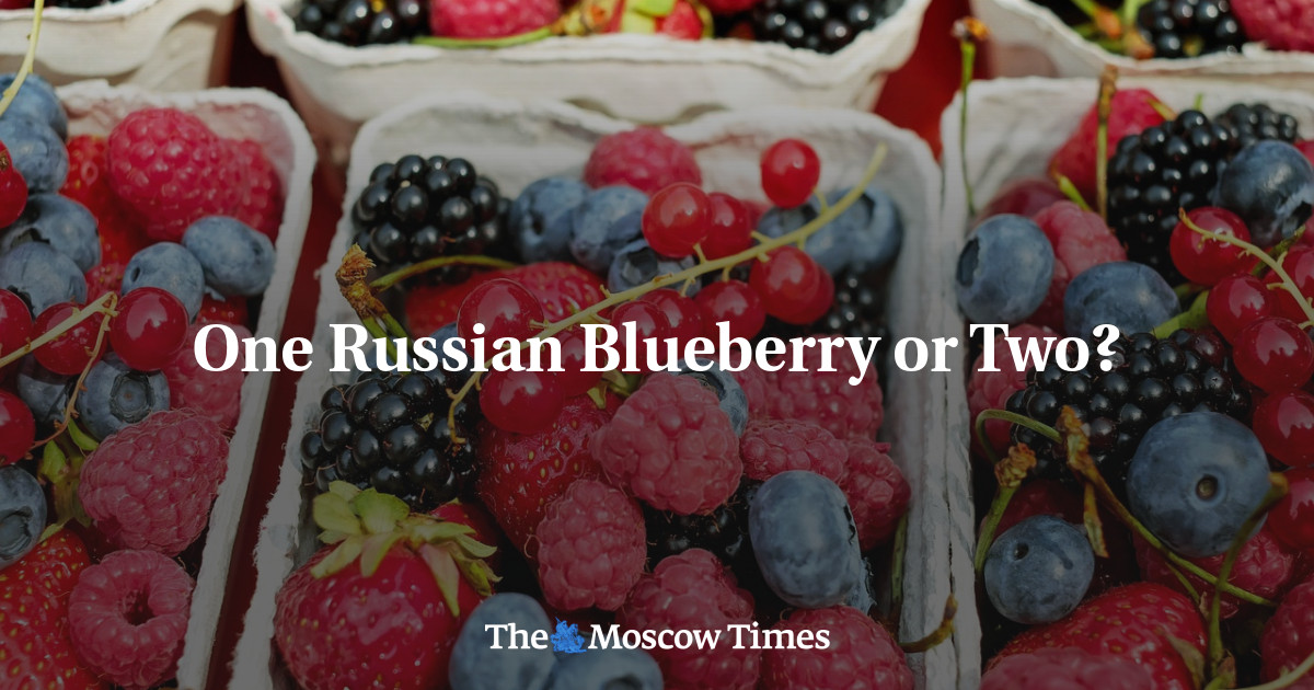 Satu atau dua blueberry Rusia?