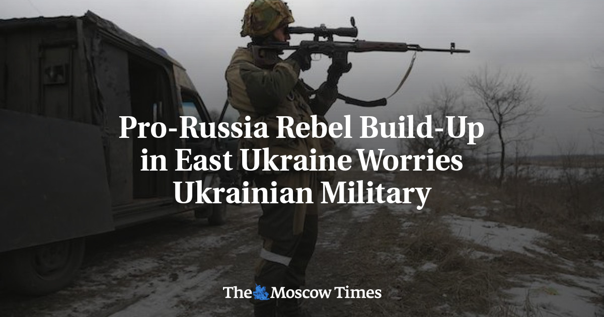 Penumpukan pemberontak pro-Rusia di Ukraina timur mengkhawatirkan militer Ukraina