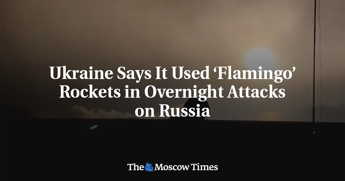 Ukraine Says It Used ‘Flamingo’ Rockets in Overnight Attacks on Russia