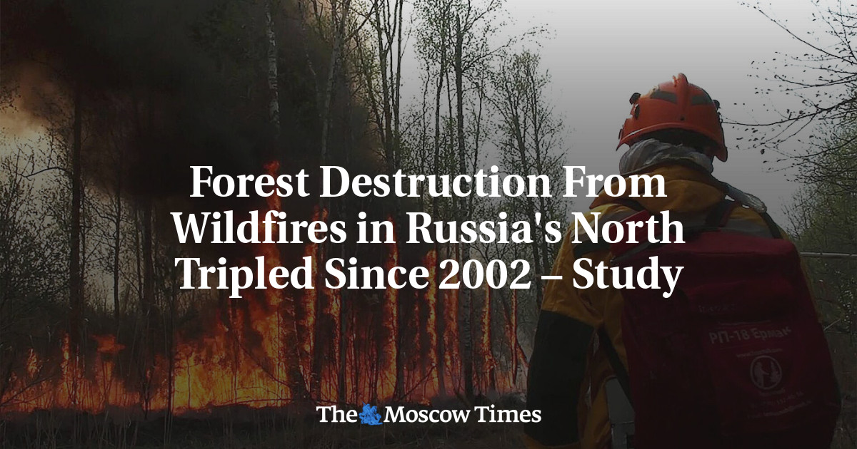 Forest Destruction From Wildfires in Russia's North Tripled Since 2002 – Study
