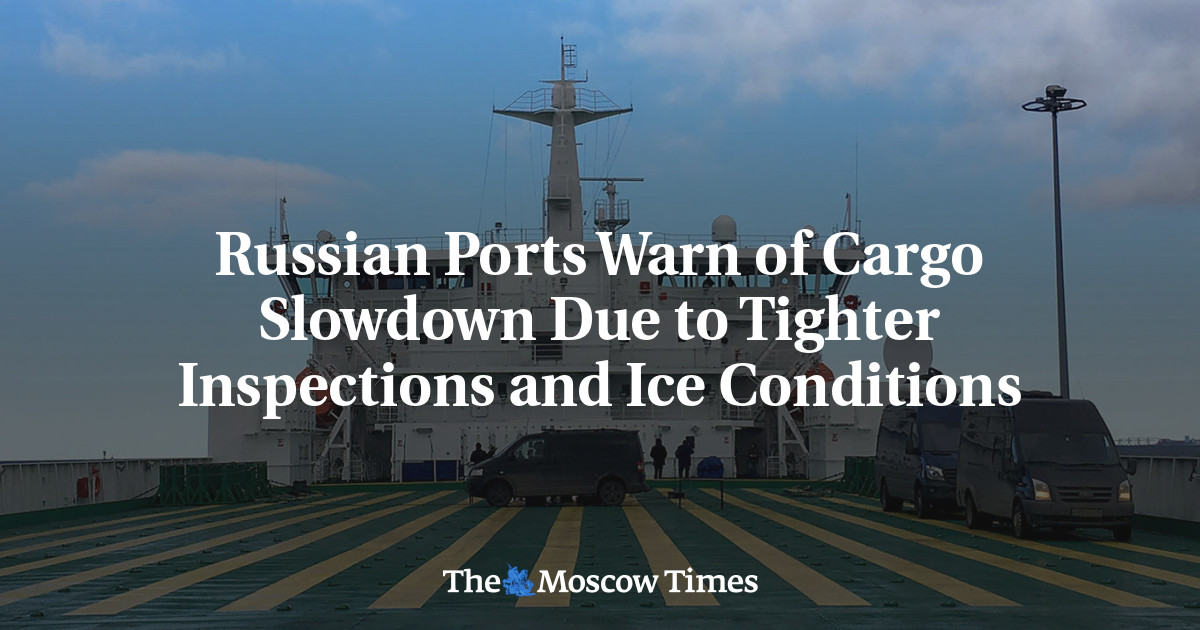 Russian Ports Warn of Cargo Slowdown Due to Tighter Inspections and Ice Conditions