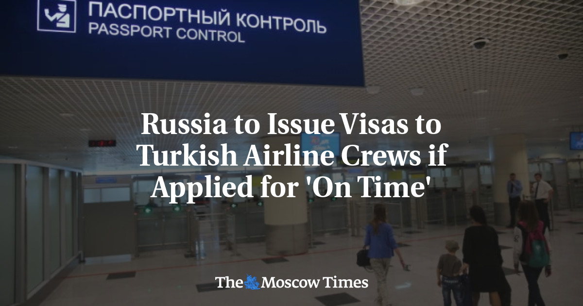 Russia to Issue Visas to Turkish Airline Crews if Applied for 'On Time'