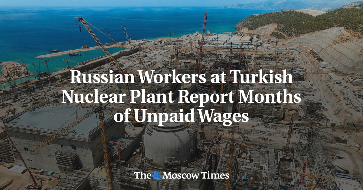 Russian Workers at Turkish Nuclear Plant Report Months of Unpaid Wages