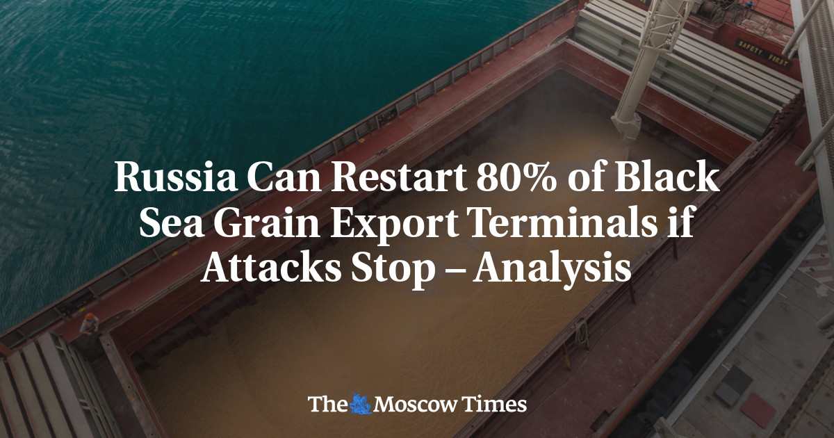 Russia Can Restart 80% of Black Sea Grain Export Terminals if Attacks Stop – Analysis