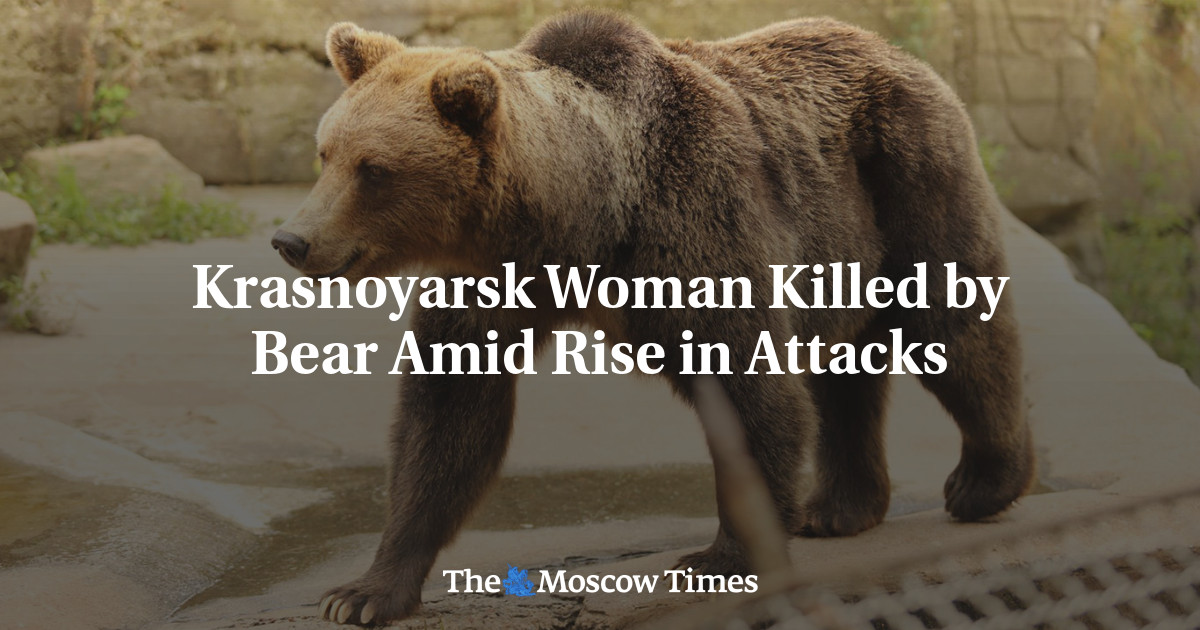 Krasnoyarsk Woman Killed by Bear Amid Rise in Attacks