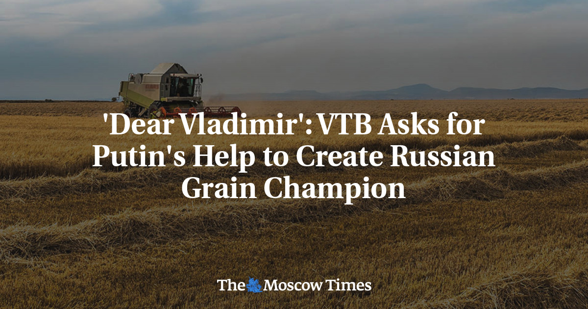 ‘Dear Vladimir’: VTB meminta bantuan Putin untuk menciptakan juara biji-bijian Rusia