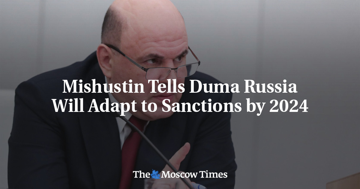 Мишустин заявил, что Госдума смирится с санкциями к 2024 году