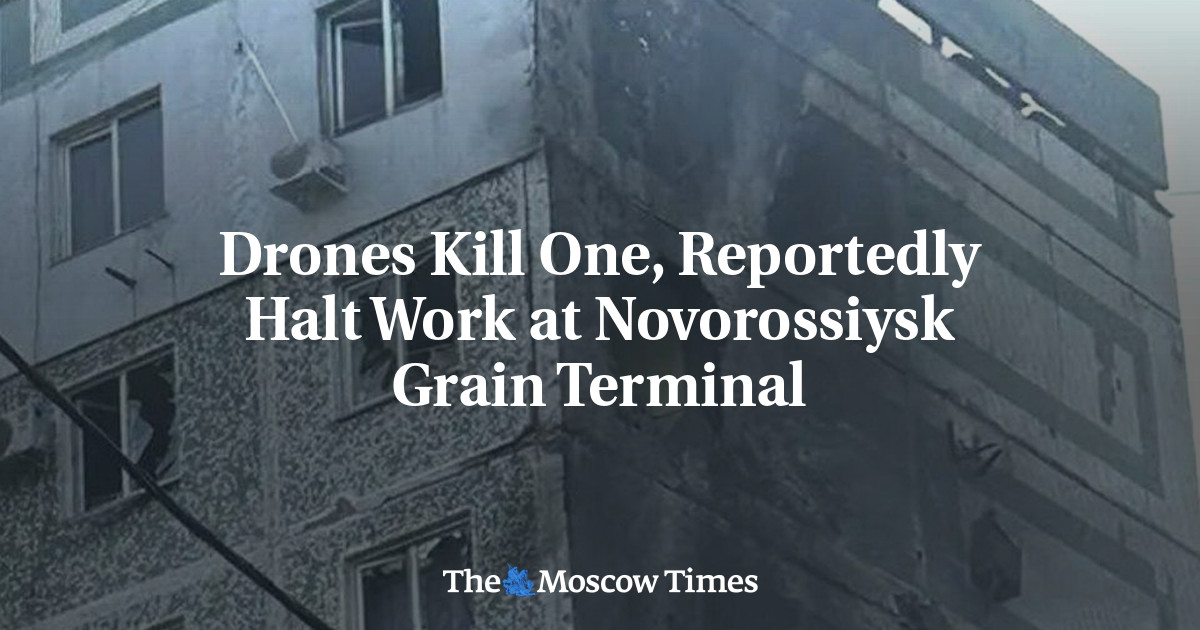 Drones Kill One, Reportedly Halt Work at Novorossiysk Grain Terminal